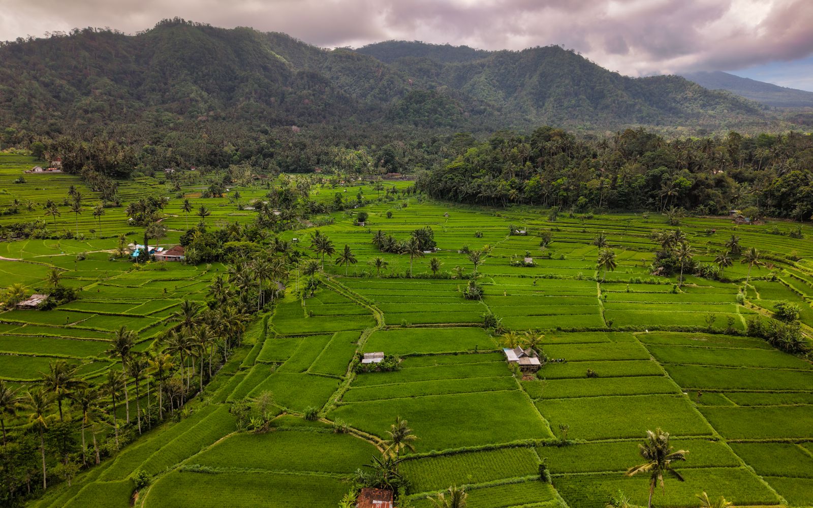 Aerial view of Tabanan and Mengwi showing emerging development areas in Bali