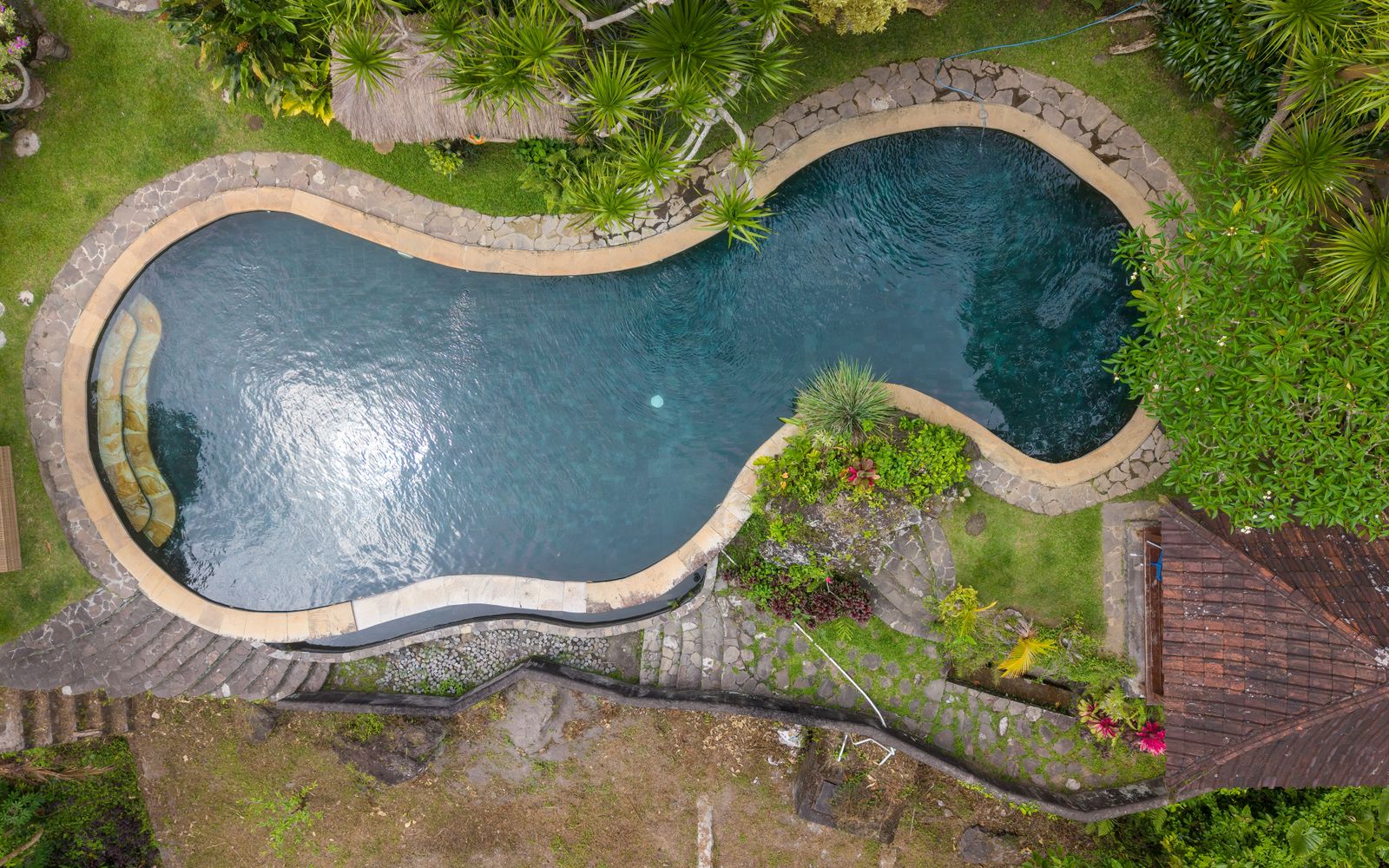 Explore a tranquil jungle pool surrounded by lush greenery in Bali, Indonesia.
