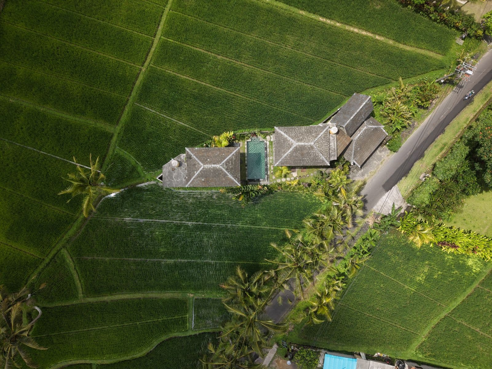 Villa amid rice fields in Bali from above