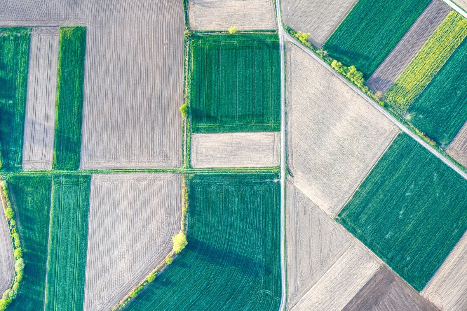 Aerial view of farmland divided into plots