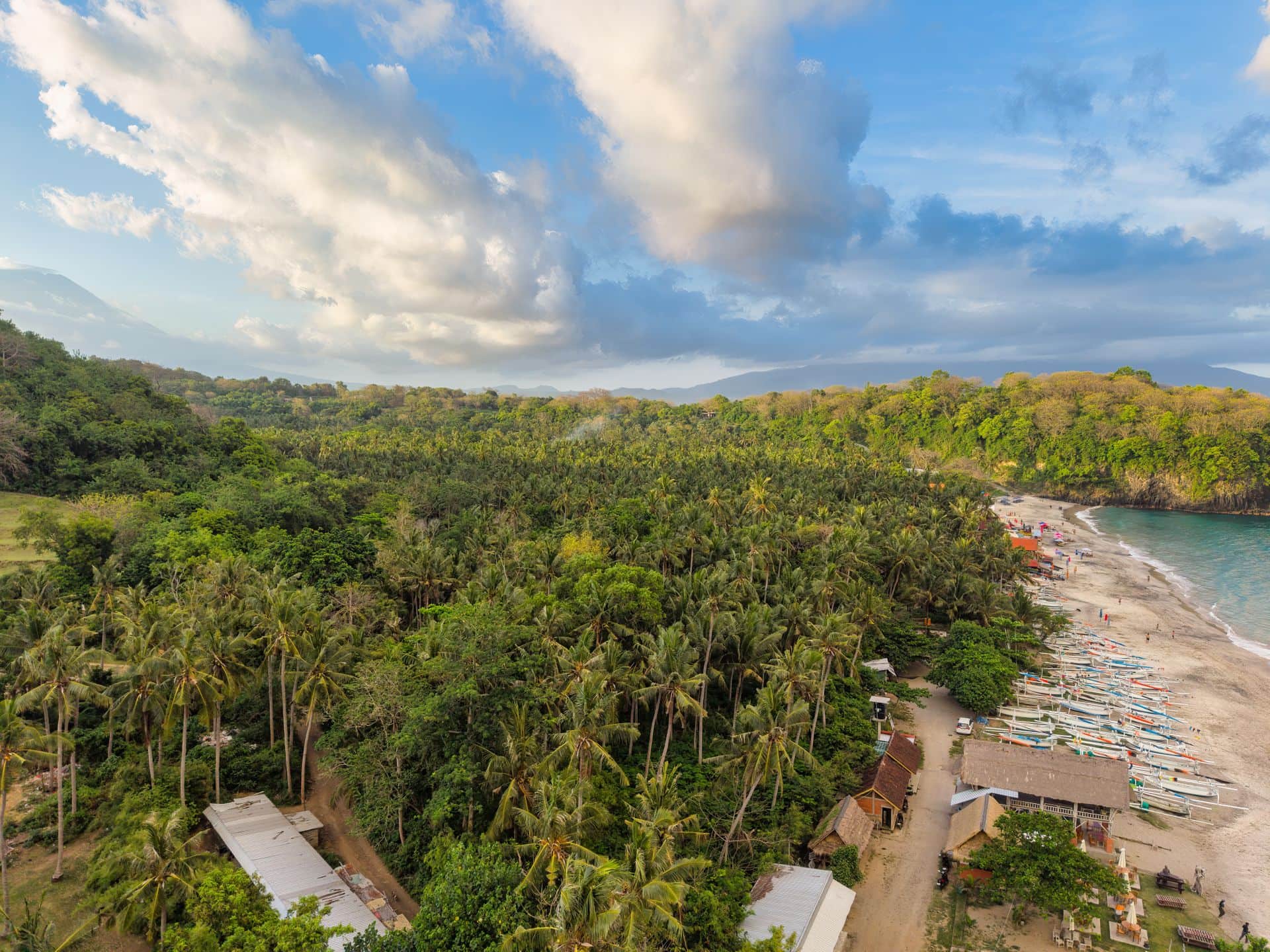 Palm-lined Bali coastline from above