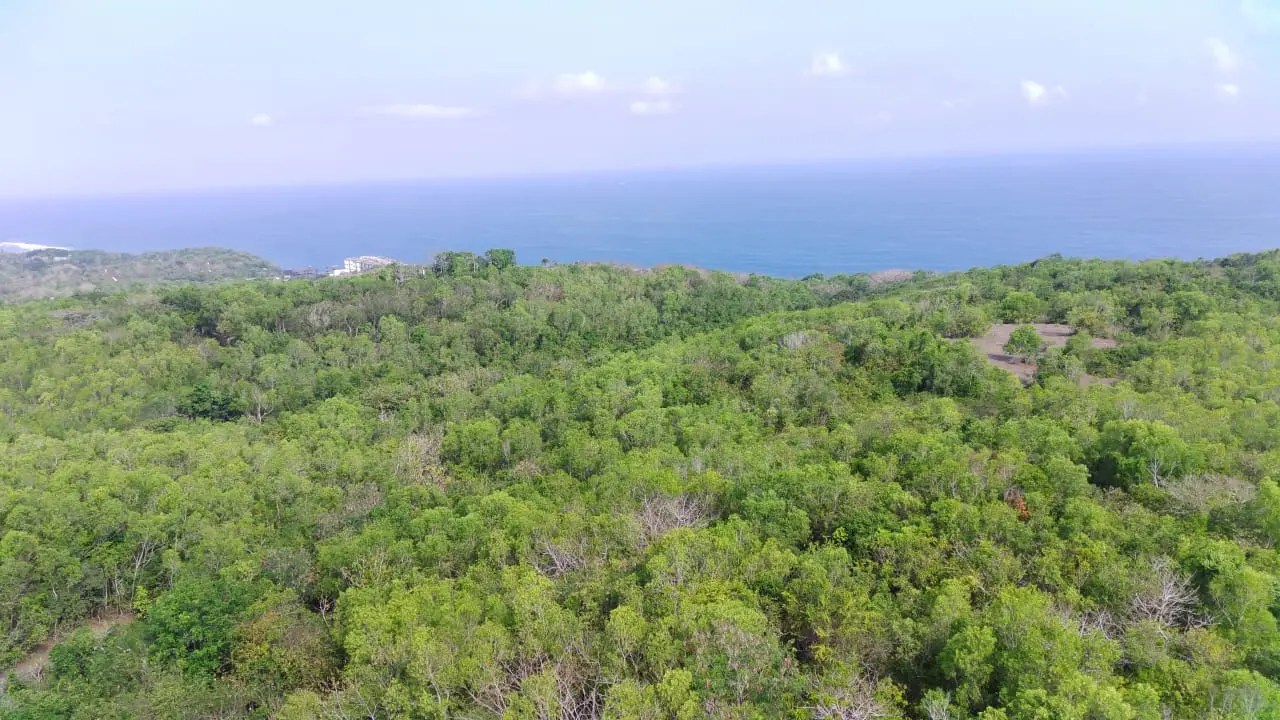Premium Cliff Front Pecatu Bali
