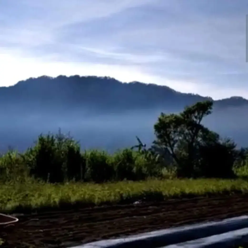 Farm Land Buyan Lake Bedugul Buleleng