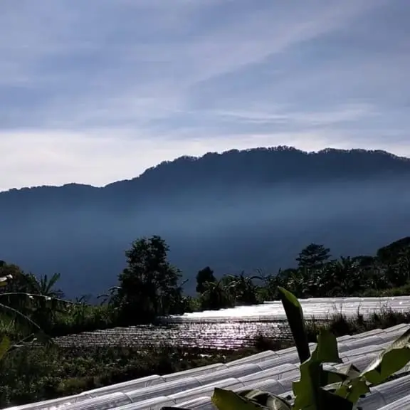 Farm Land Buyan Lake Bedugul Buleleng