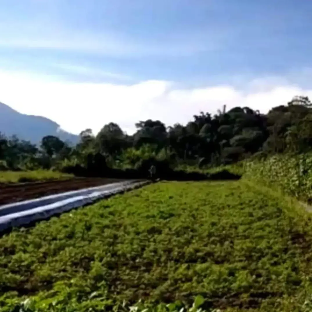 Farm Land Buyan Lake Bedugul Buleleng