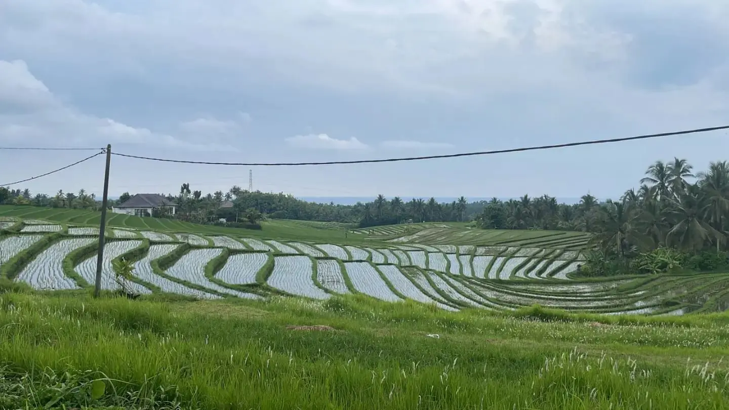 Beautiful Soka Land Tabanan