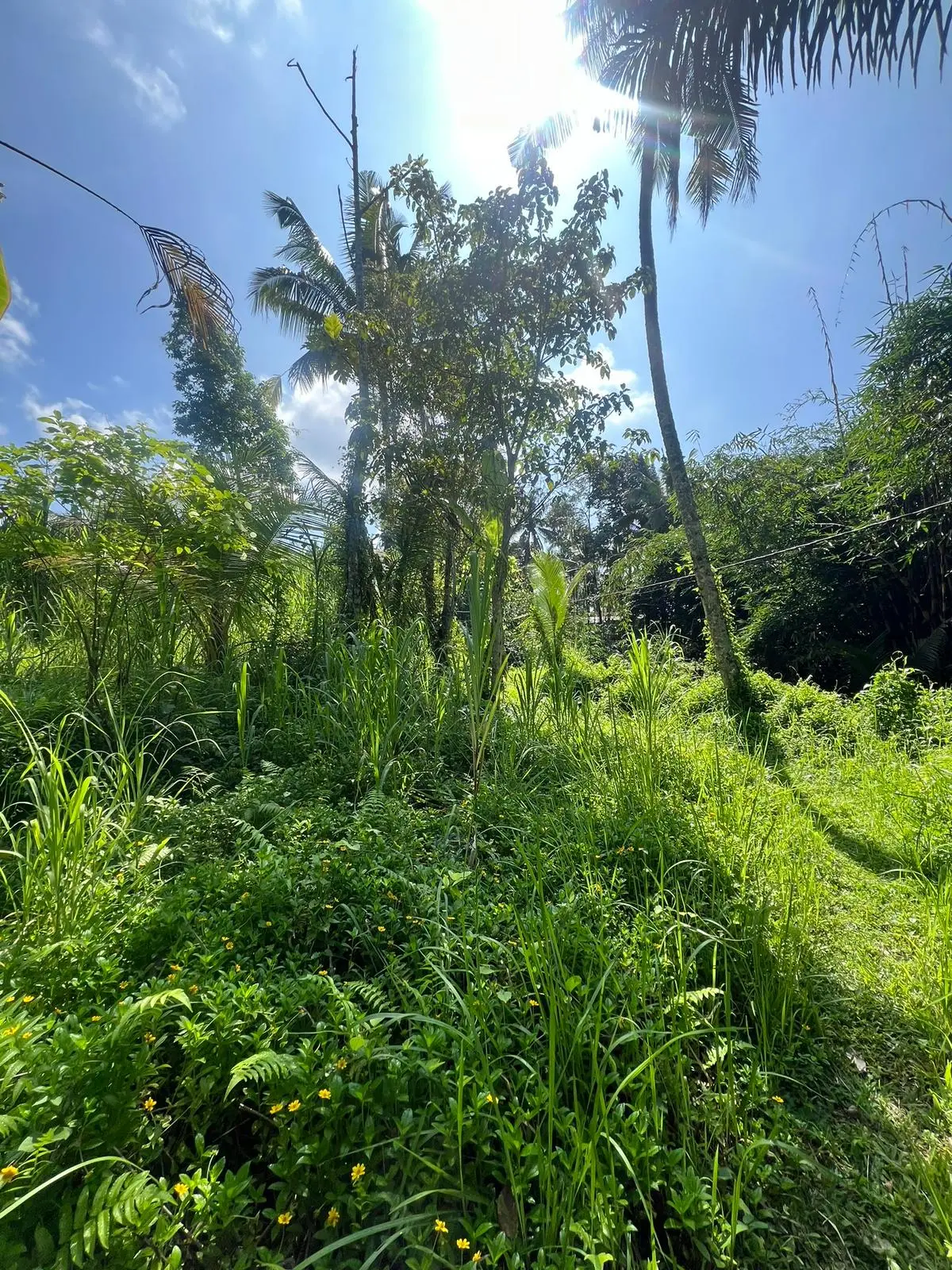 Beautiful Soka Land Tabanan