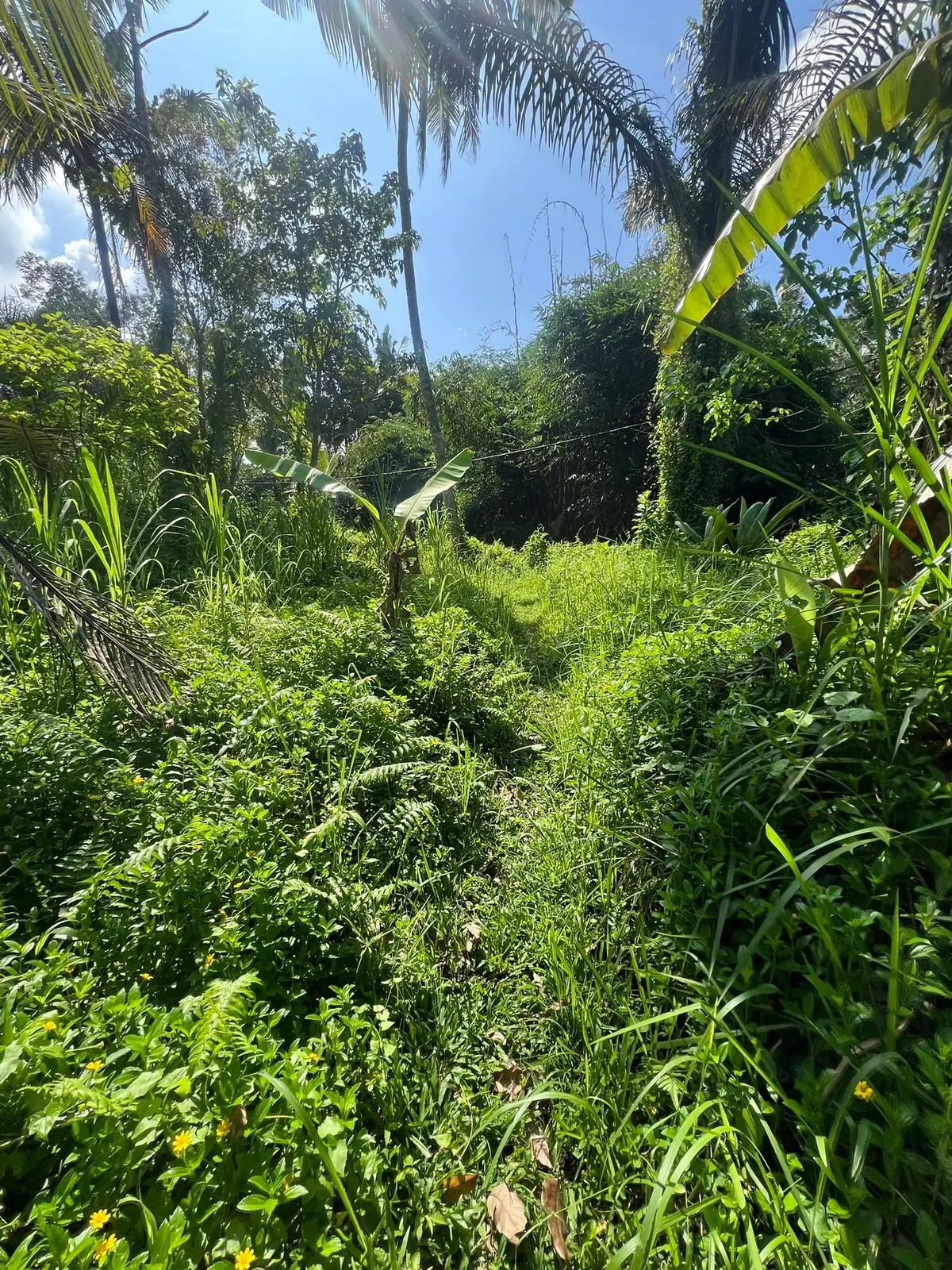 Beautiful Soka Land Tabanan