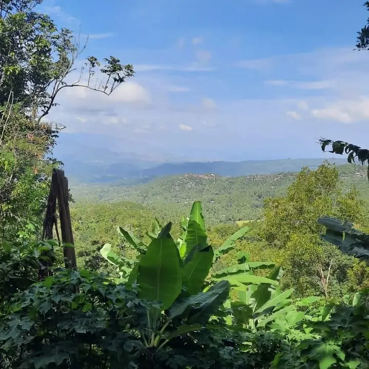 Beautifull Land Munduk Buleleng