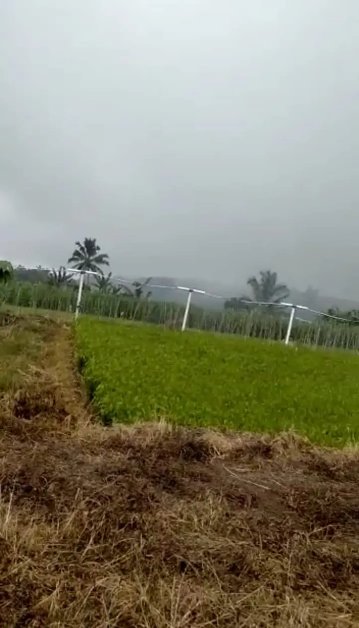 Farm Land Batunye Near Bedugul Tabanan
