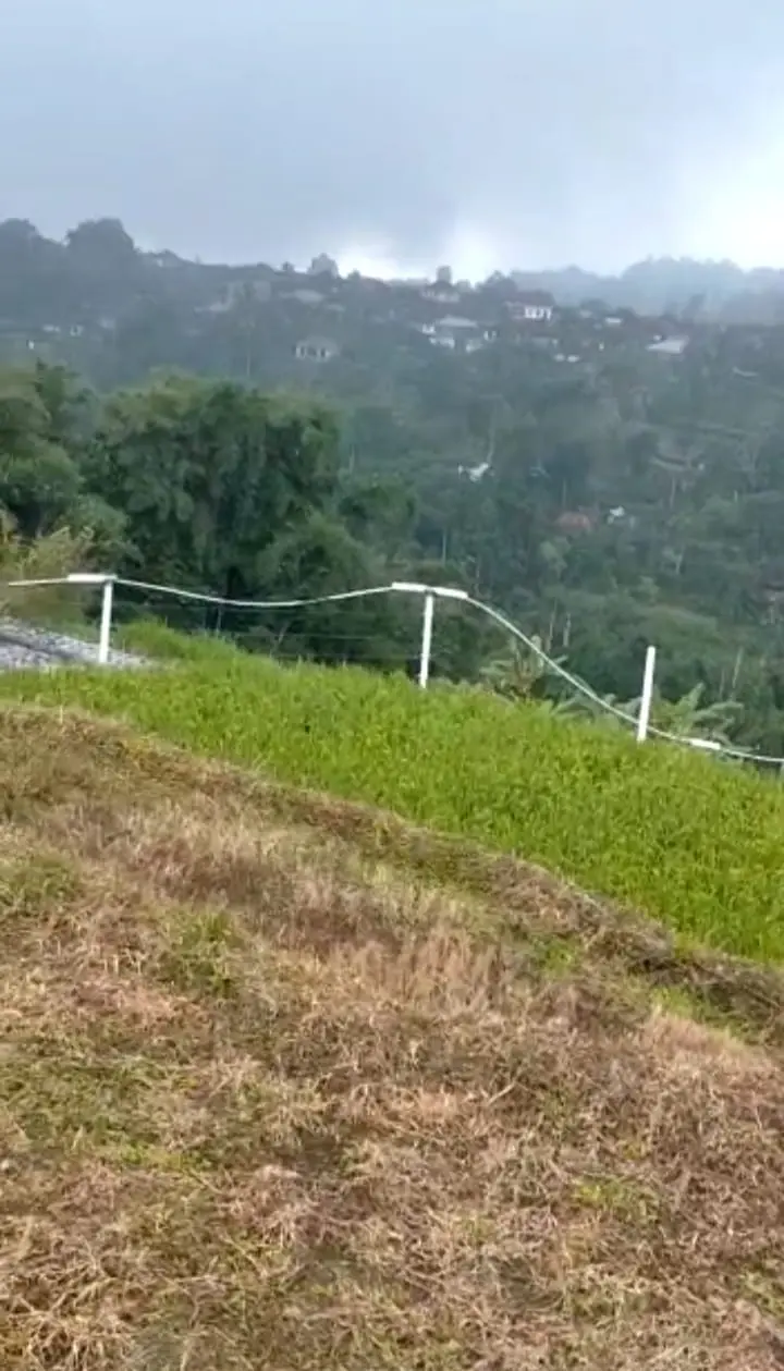 Farm Land Batunye Near Bedugul Tabanan