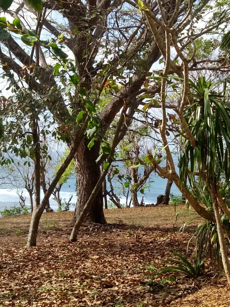 For Sale Cliff Front Land Ungasan, Nusa Dua Bali