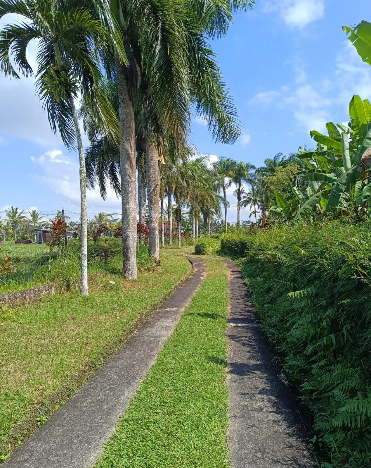 Keliki Land Ubud Bali