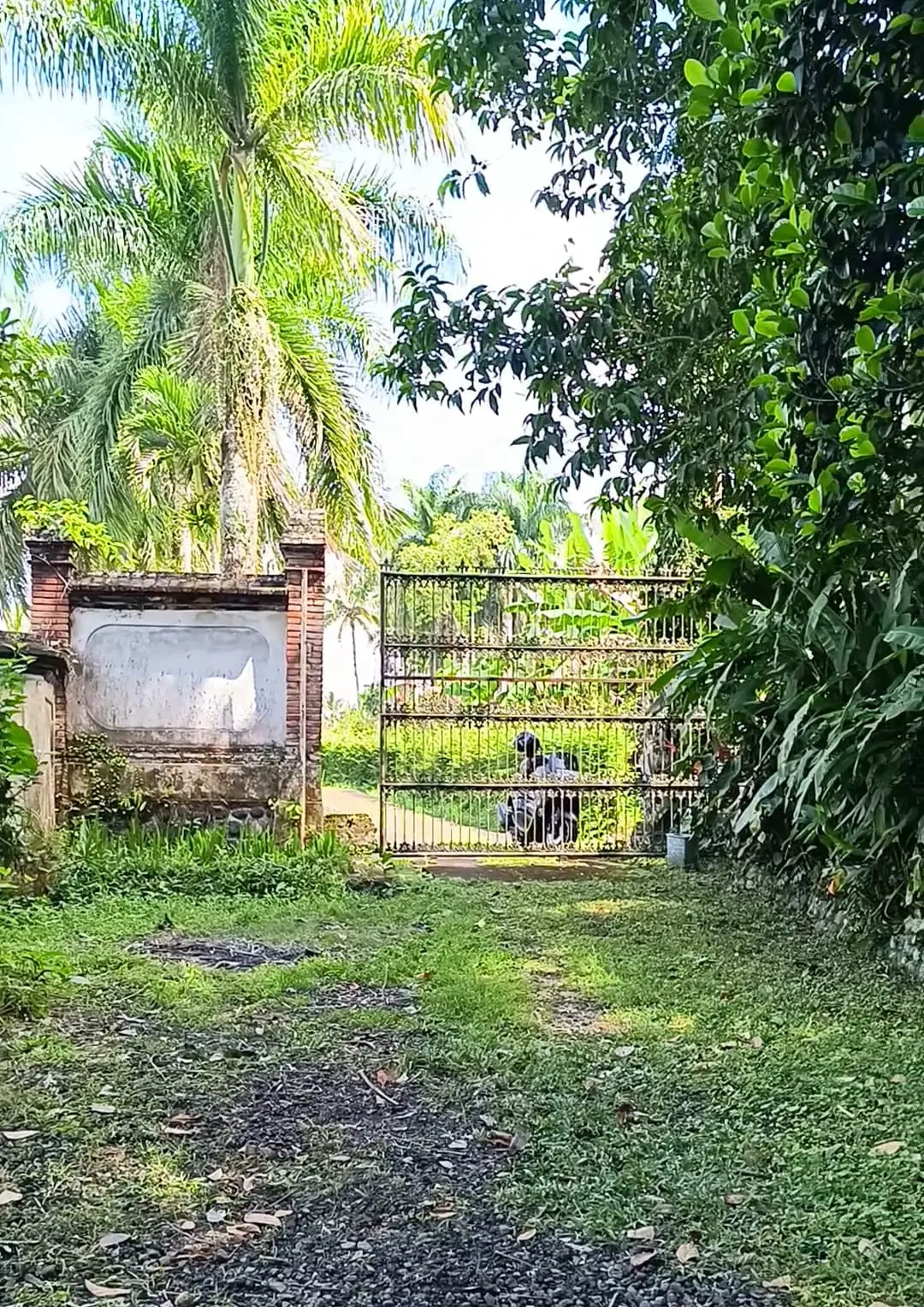 Keliki Land Ubud Bali
