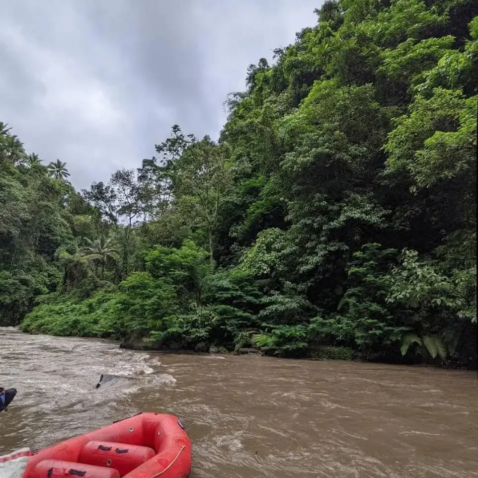 Premium Ayung River Land Kedewatan Ubud