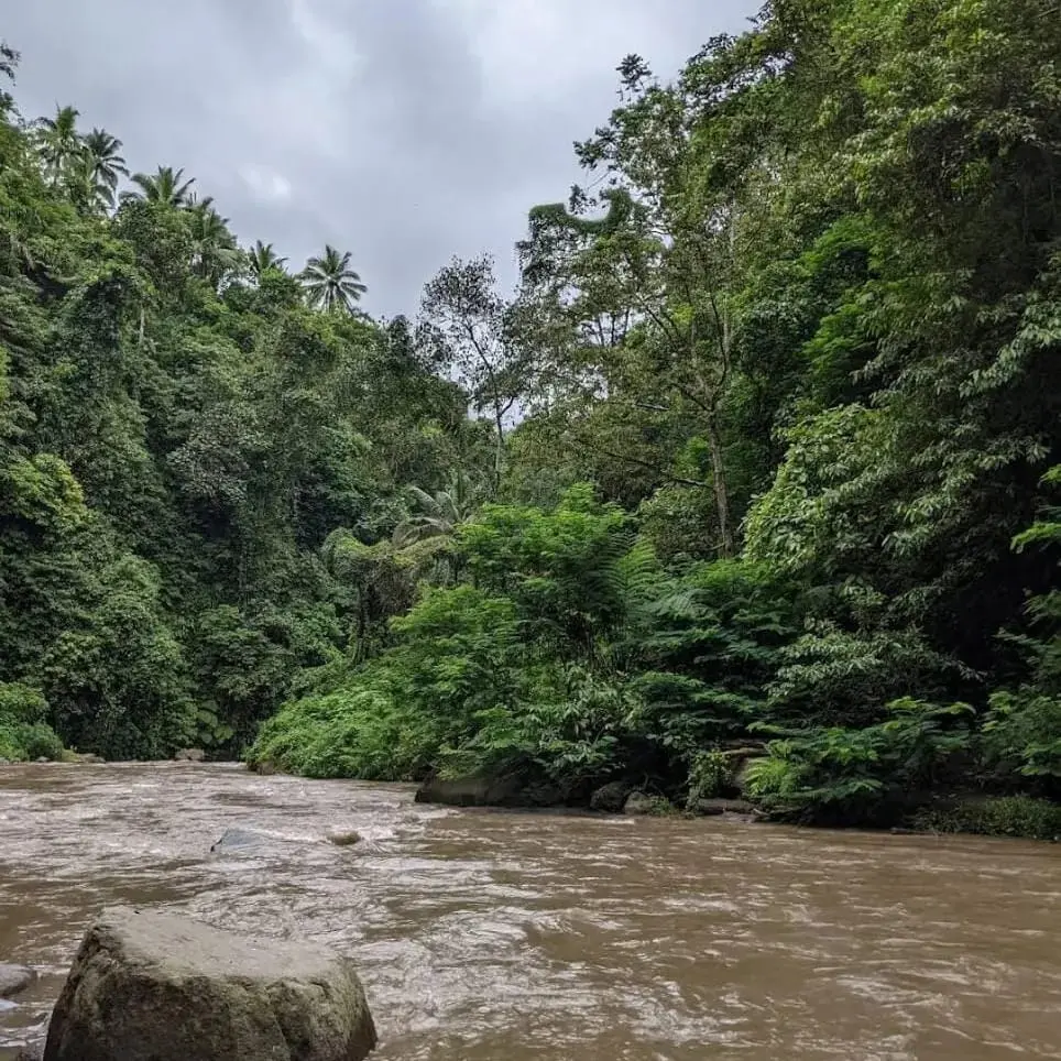 Premium Ayung River Land Kedewatan Ubud