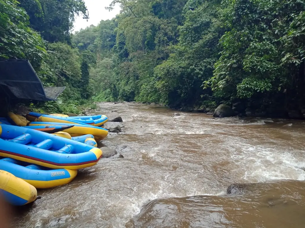 Premium Ayung River Land Kedewatan Ubud