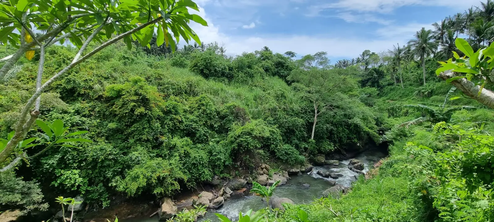 Begawan Giri Land Payangan Ubud