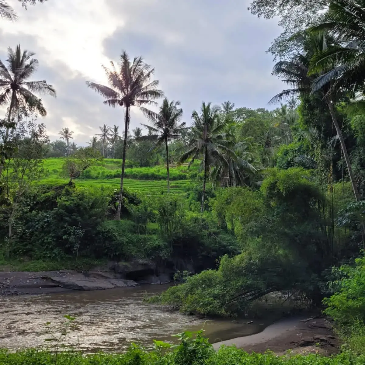 Premium Ayung River Land Kedewatan Ubud
