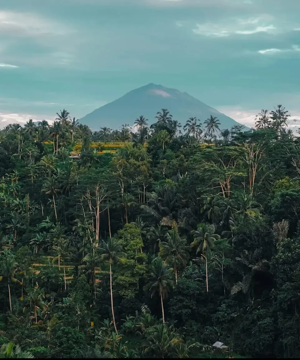 Ayung River Land Payangan Puhu Ubud