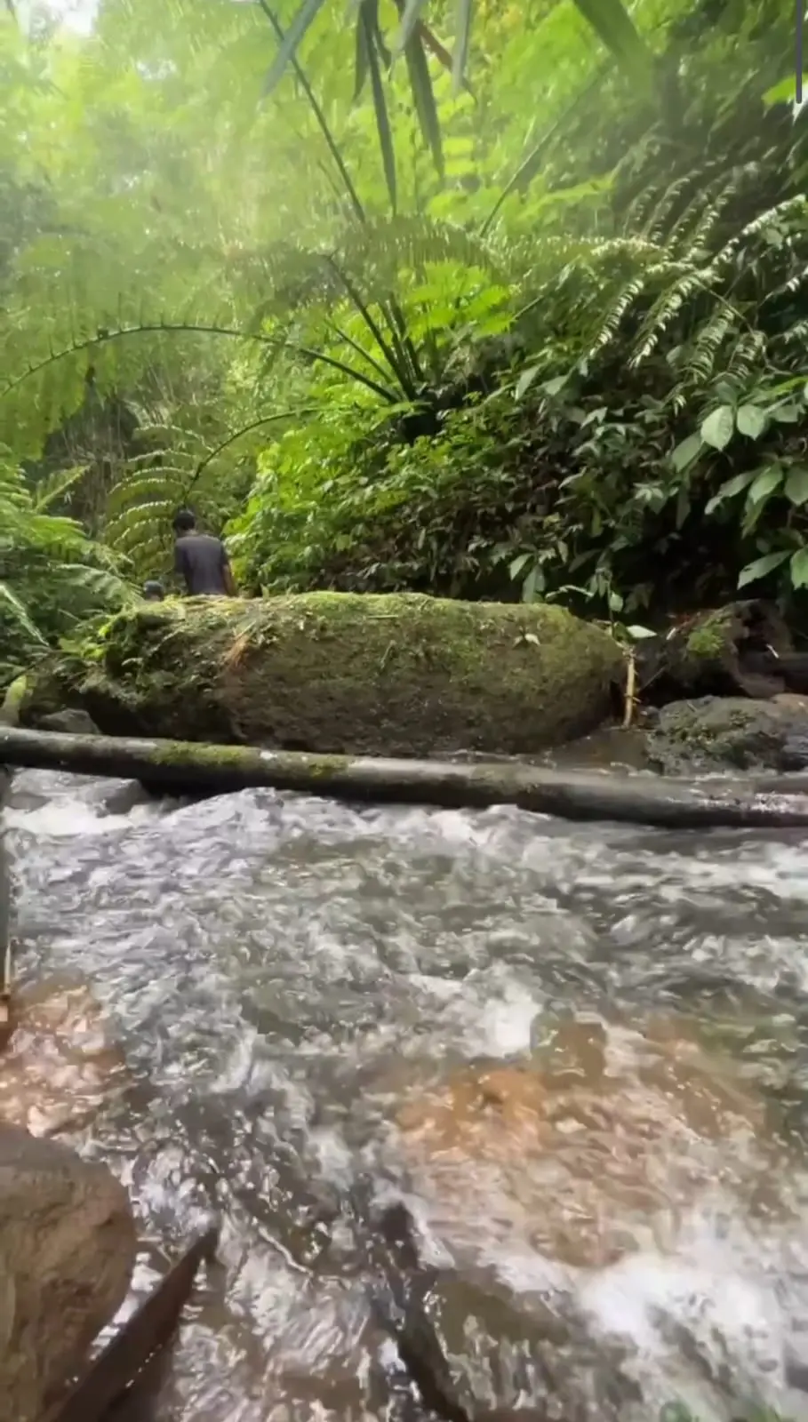 Waterfall Land Catur Kintamani Bali
