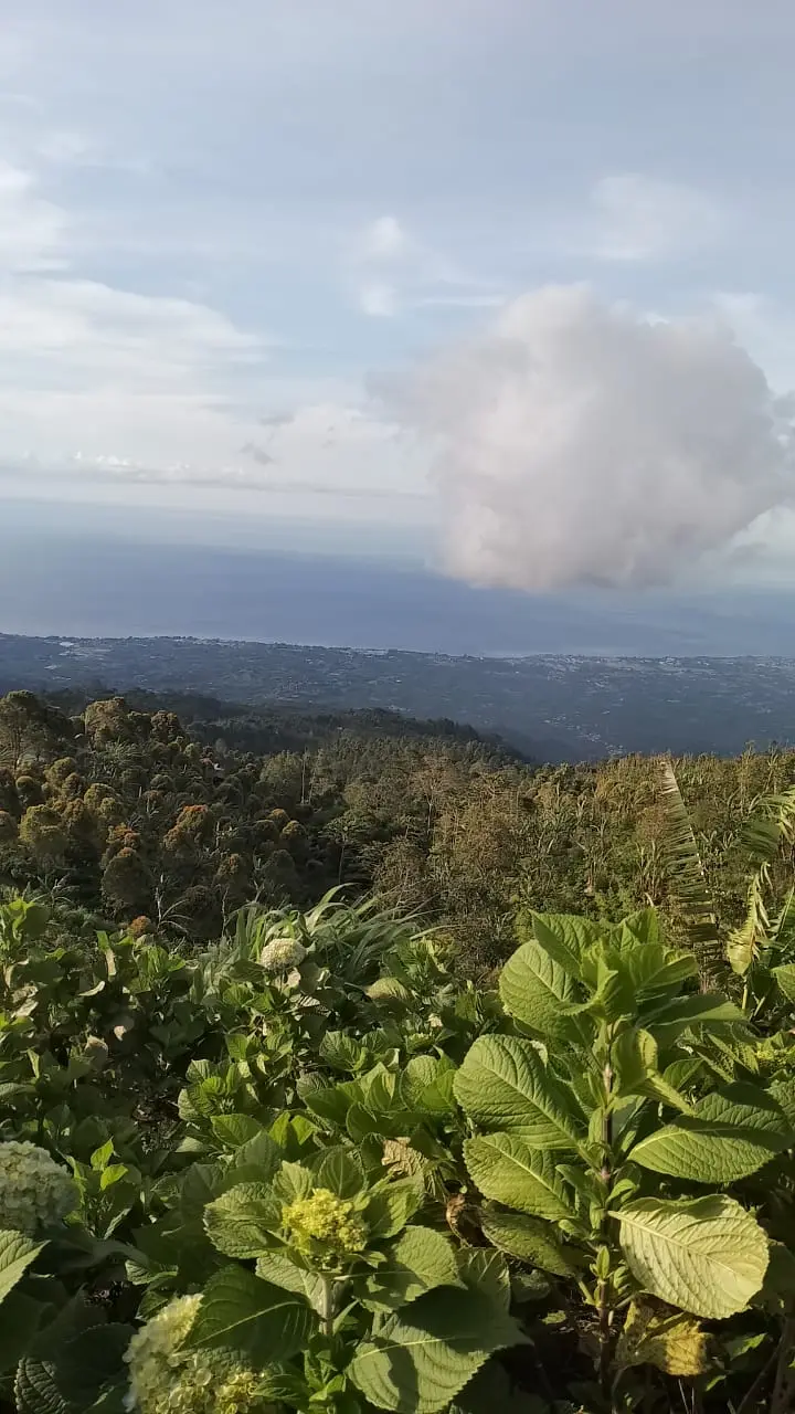 Unblocked Ocean View Land In Munduk Bali