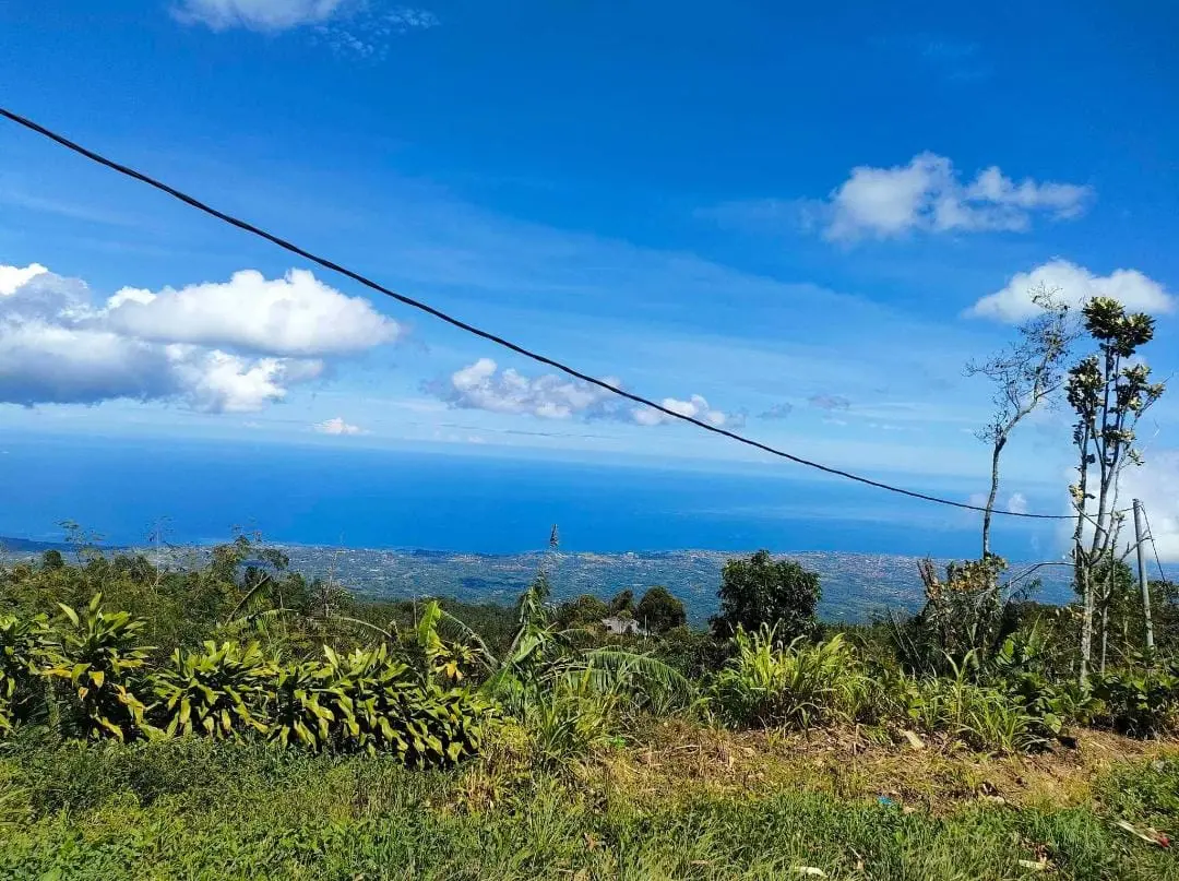 Unblocked Ocean View Land In Munduk Bali