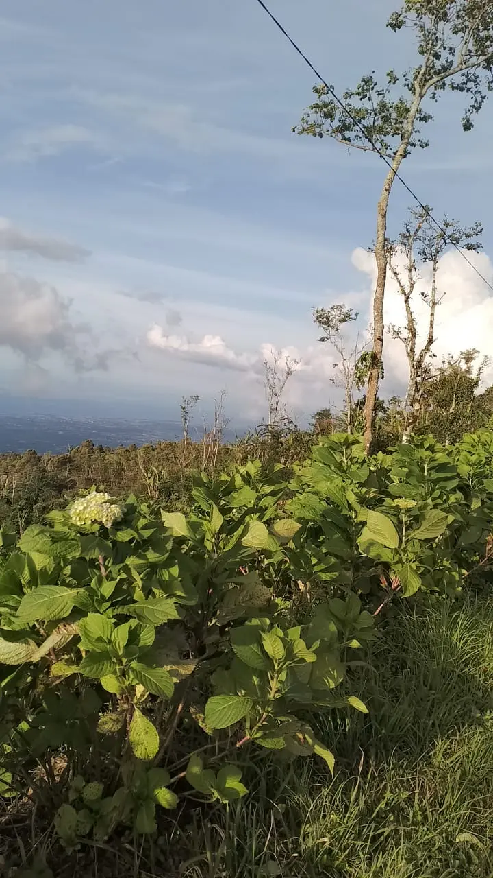 Unblocked Ocean View Land In Munduk Bali