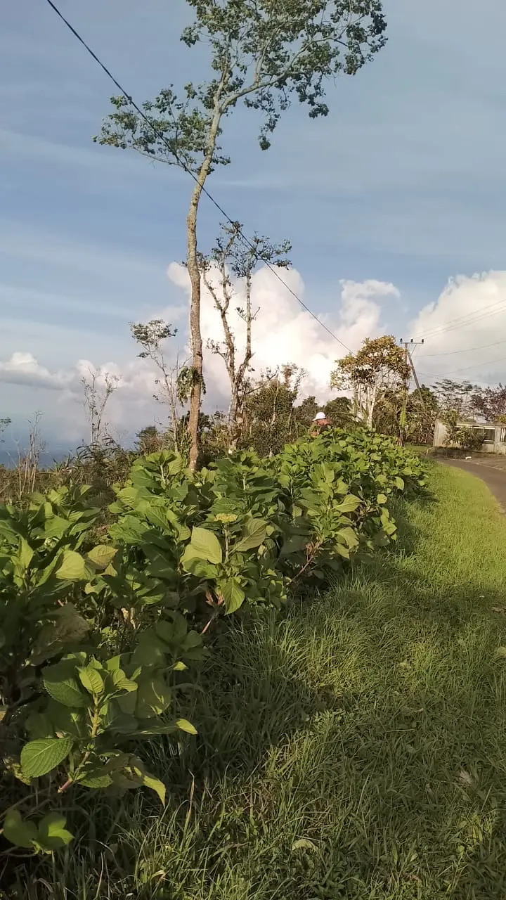 Unblocked Ocean View Land In Munduk Bali