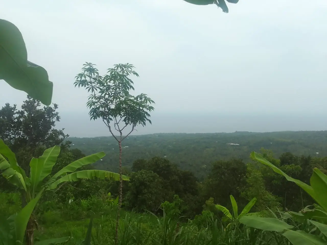 Ocean View Land Kubutambahan North Bali