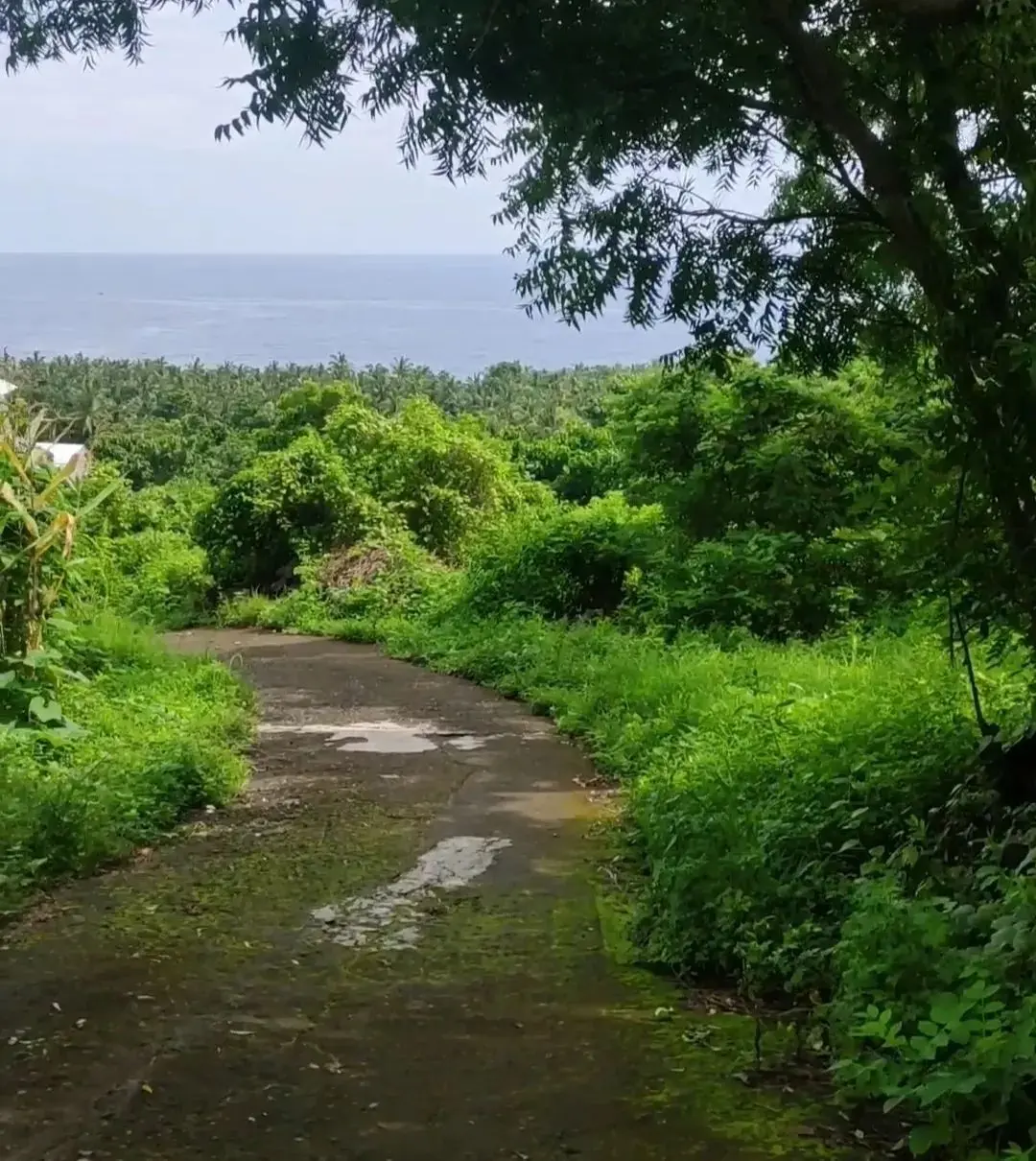 Beach Front Kubutambahan North Bali