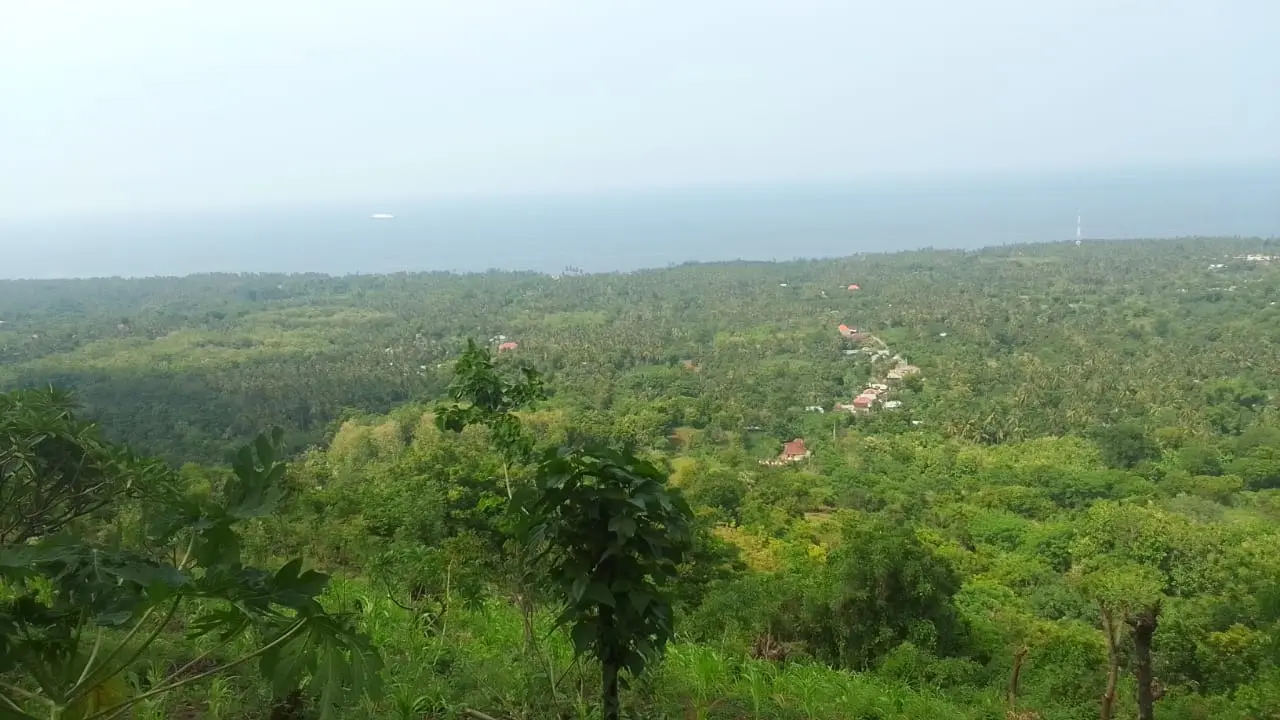 Beach Front Kubutambahan North Bali