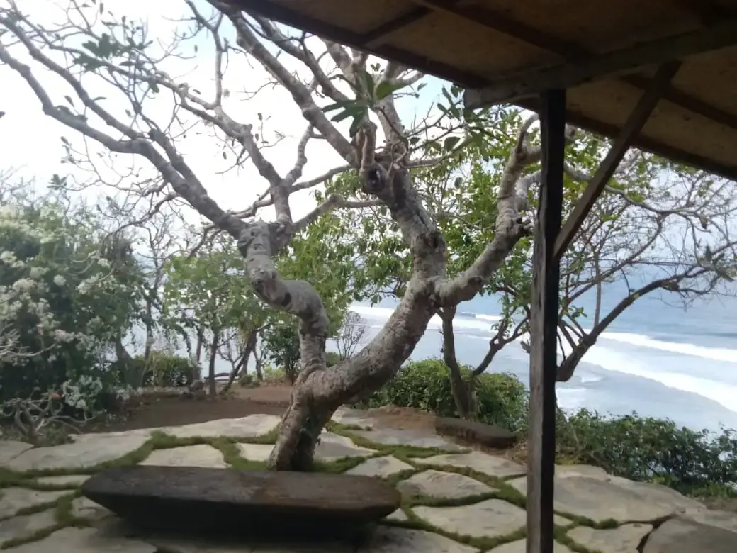 For Sale Cliff Front Land Ungasan, Nusa Dua Bali