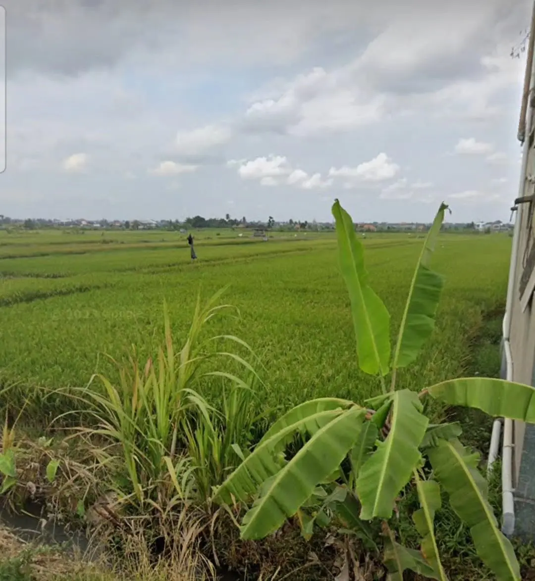 Leased Land Limited To Cemagi Beach Roadside