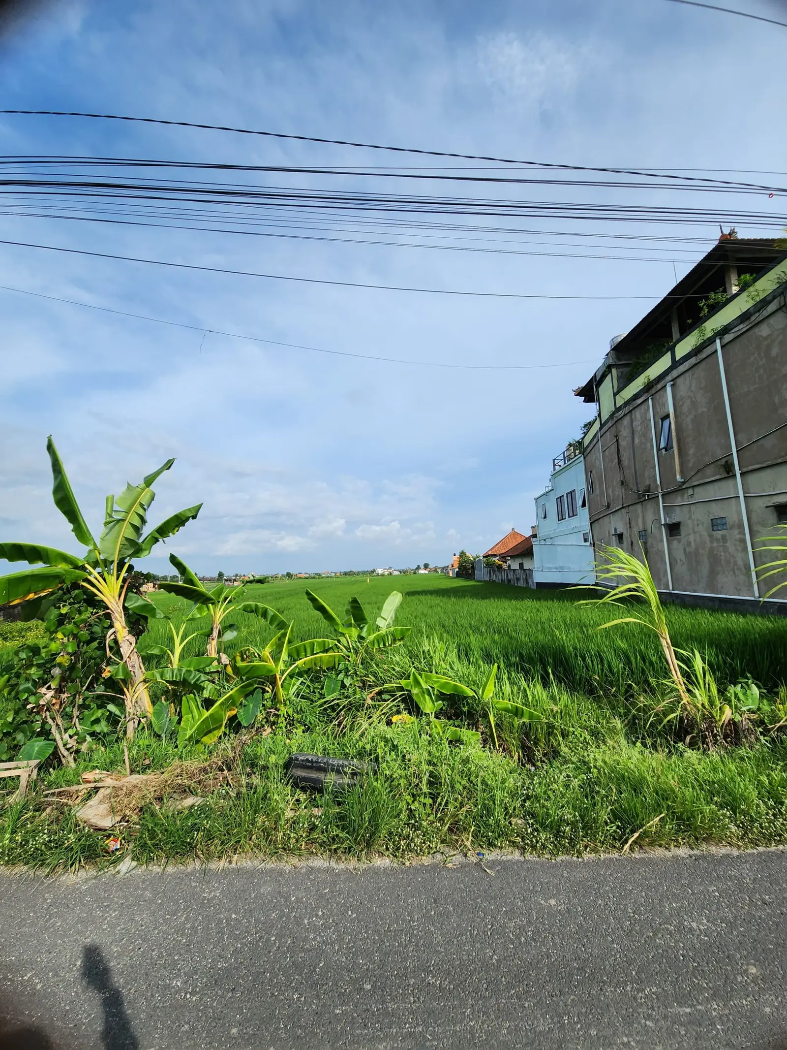 Leased Land Limited To Cemagi Beach Roadside