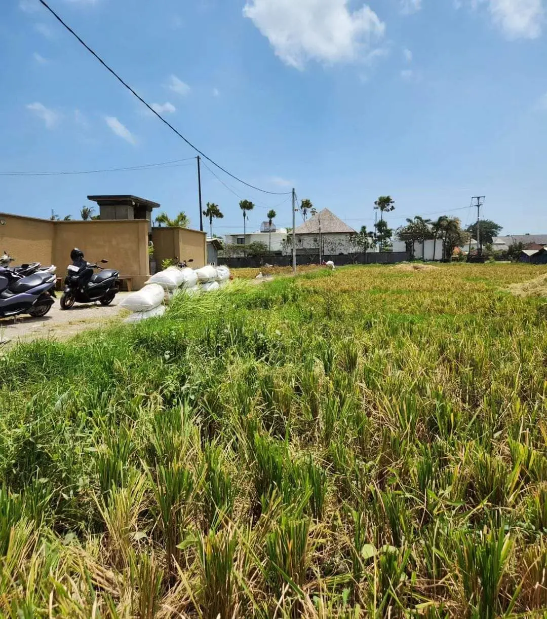 Leasehold Land Cemagi, Badung, Bali