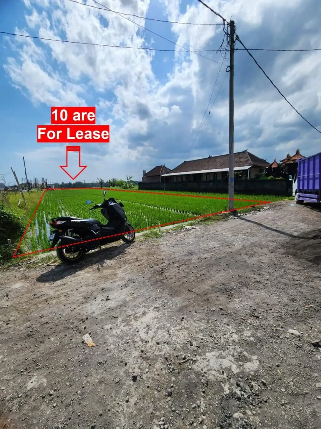 Cemagi Land For Lease Direct To Owner