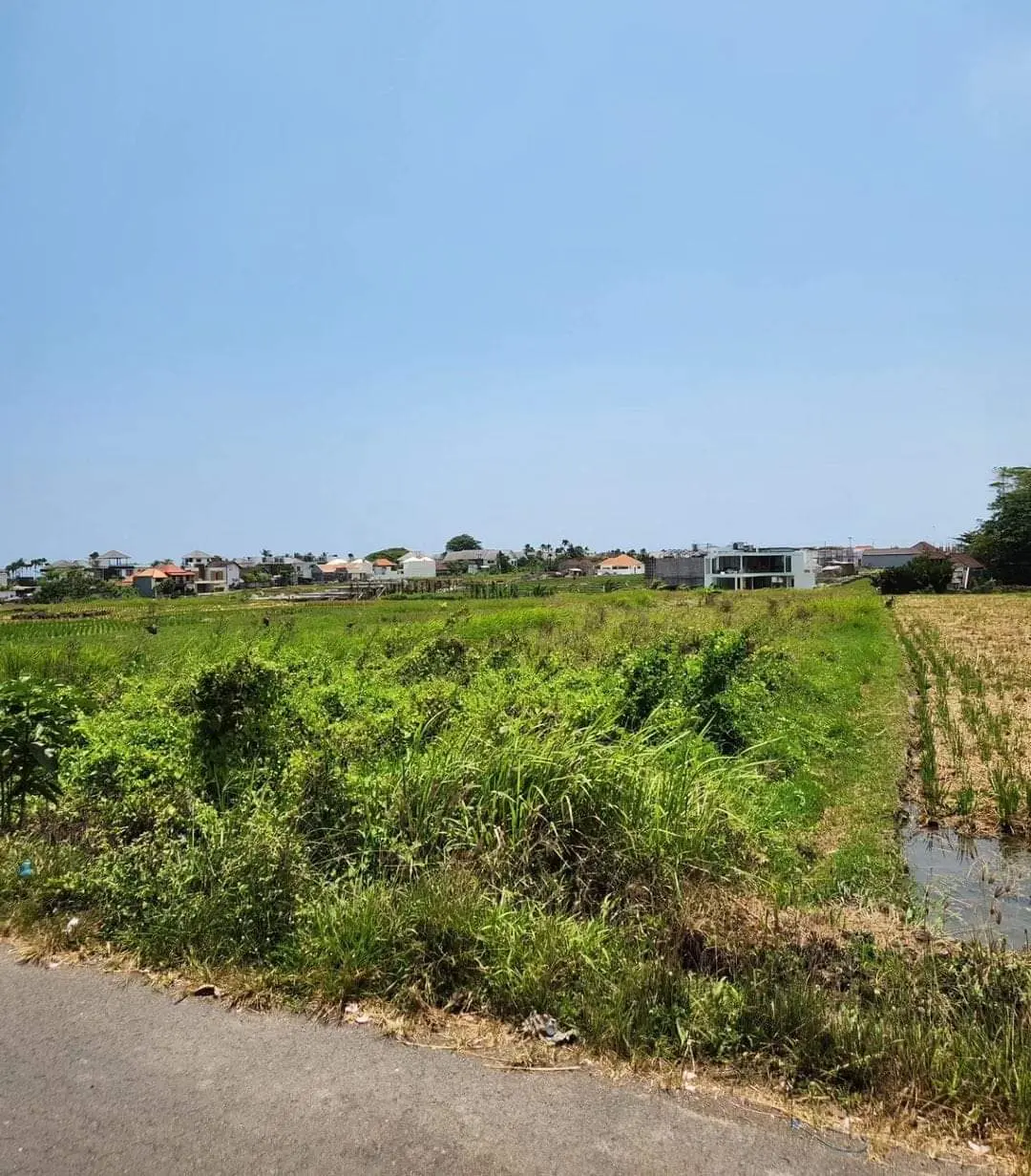 Leasehold Land  Cemagi, Badung, Bali