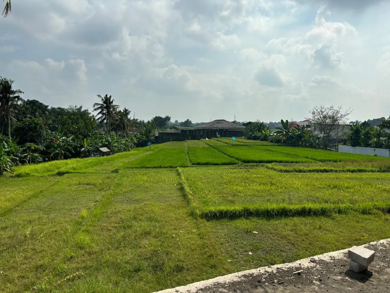 Villa Unfinished Located In Nyanyi, Tabanan