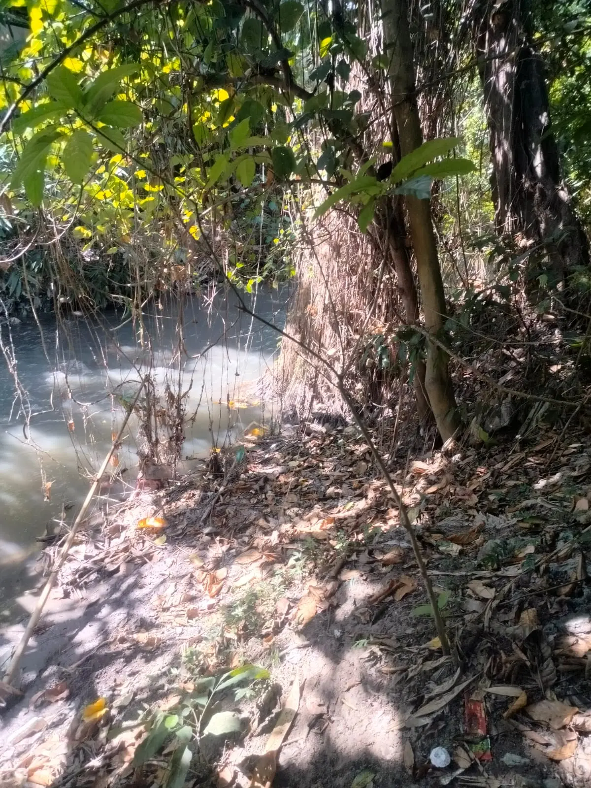 Leasehold Land In Umalas 1 Seminyak