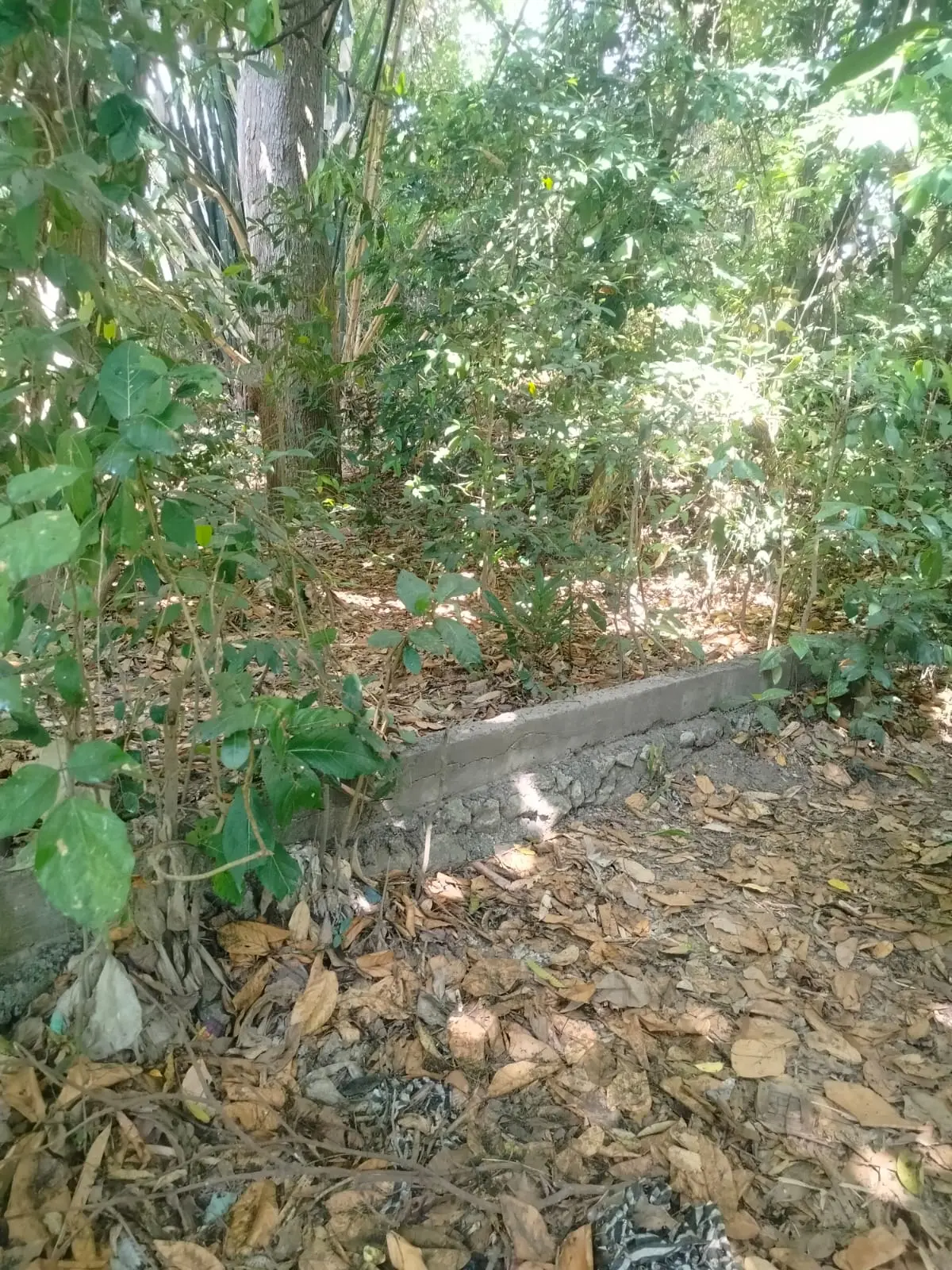 Leasehold Land In Umalas 1 Seminyak