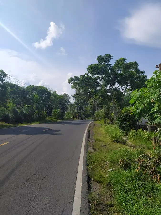Plantation Land In Kintamani Bali