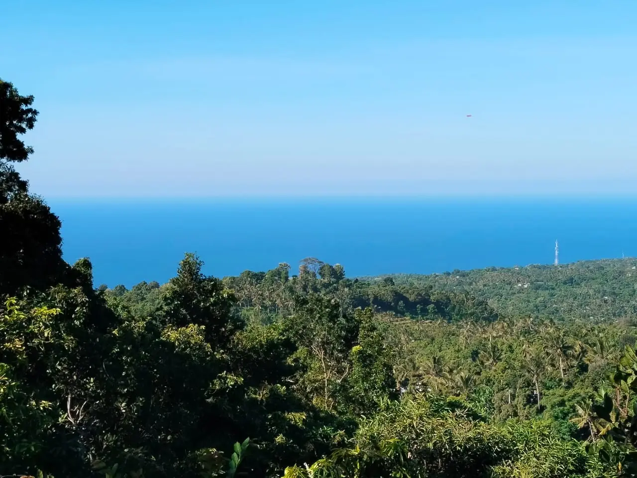 Plantation Land In Kubutambahan Buleleng North Bali