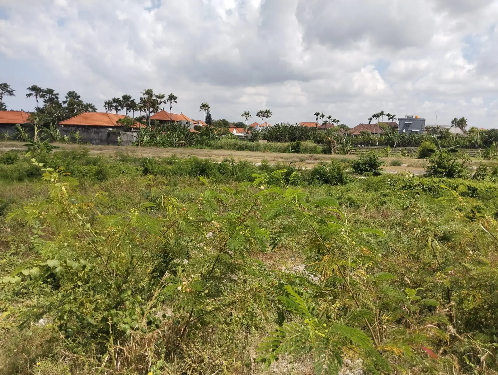 Premium Land In Seminyak Bali