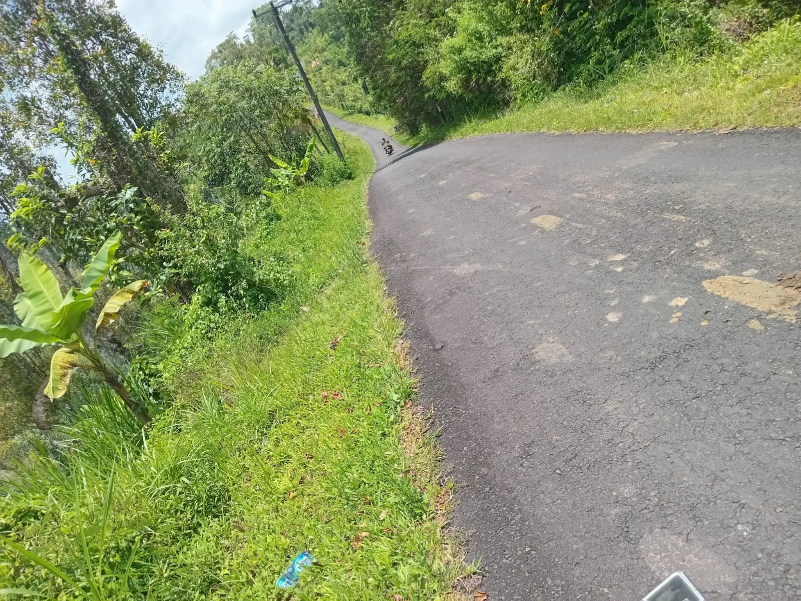 Plantation Land With Spring Water Petang North Badung