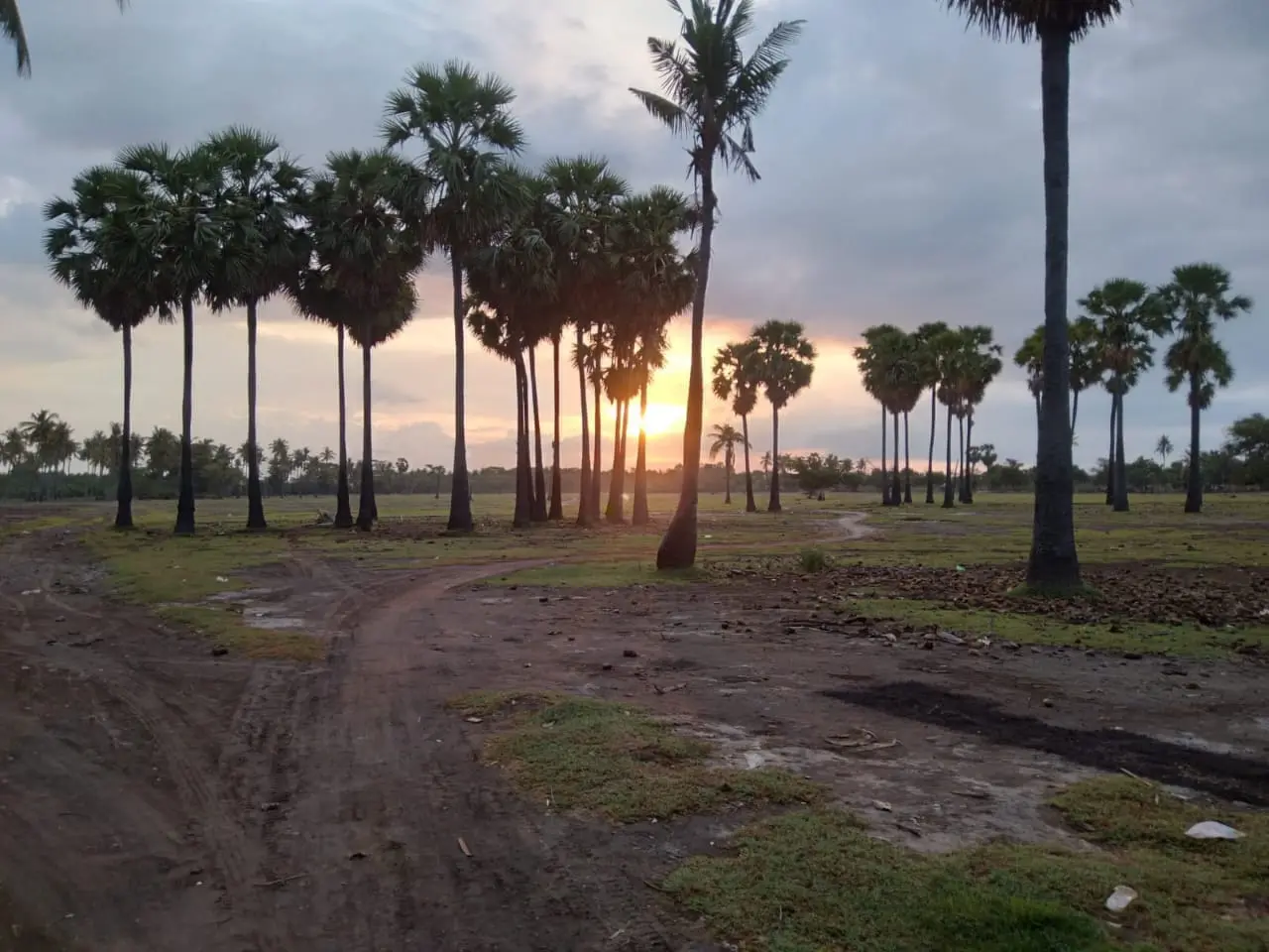 Premium Beach Front Land Sumberkima North Bali