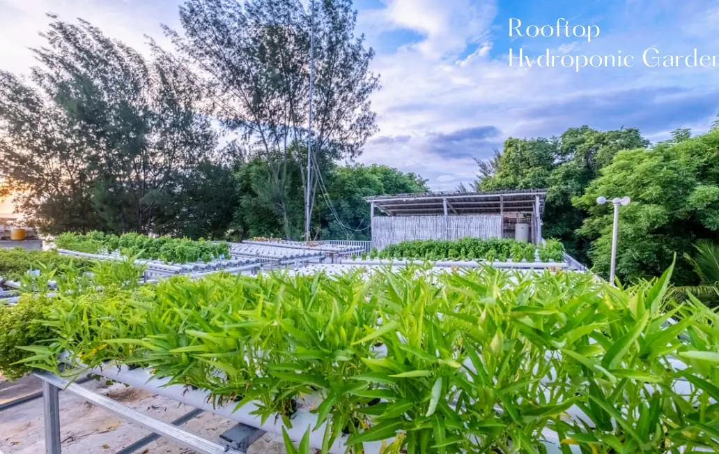 Direct Owner Beautiful Island Resorts For Sale Located In Gili Meno Lombok