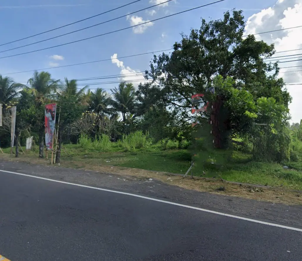 Premium Land In Sembung Tabanan