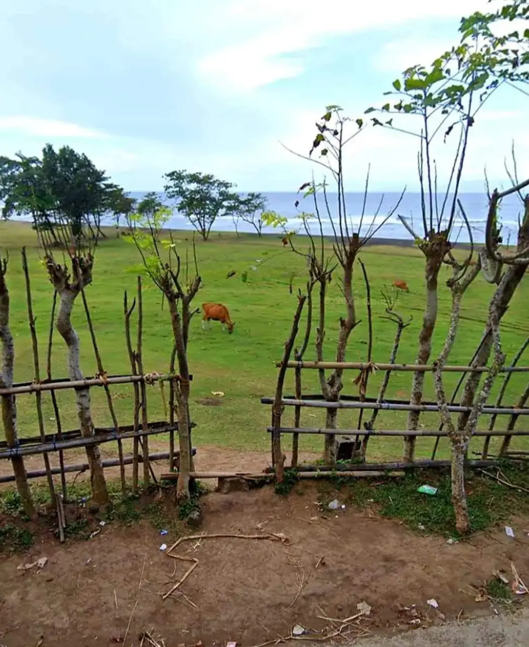 Premium Beach Front Land Saba Beach Gianyar