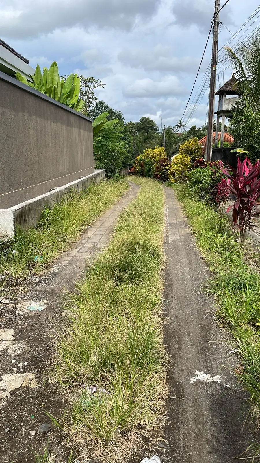 Ubud Central Land For Sale Freehold & Leased Hold